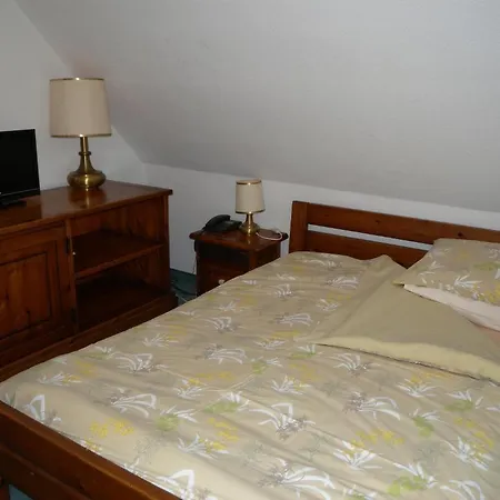 L'auberge Du Chalet A Gobet * 洛桑